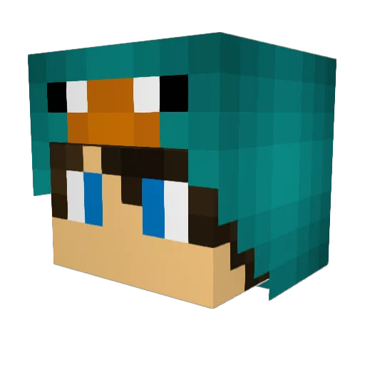 littlewallyone1 Minecraft avatar head, 3D render