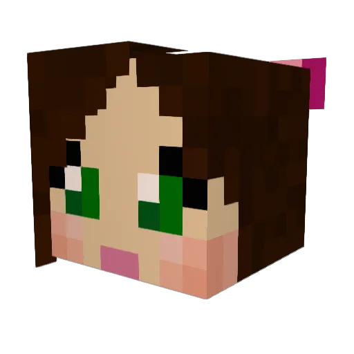 littlewarrior01 Minecraft avatar head, 3D render