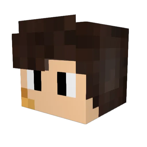littlewerewolf03 Minecraft avatar head, 3D render