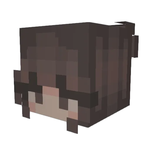 littlezookeeper Minecraft avatar head, 3D render