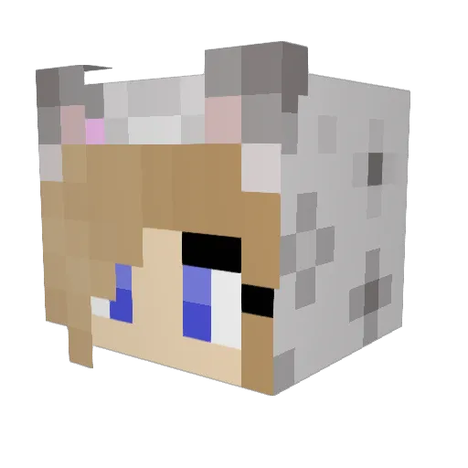littlkitty Minecraft avatar head, 3D render