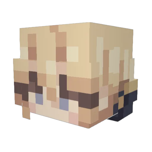 littllJedi Minecraft avatar head, 3D render
