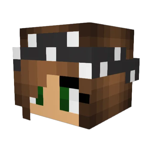 littshorty2 Minecraft avatar head, 3D render