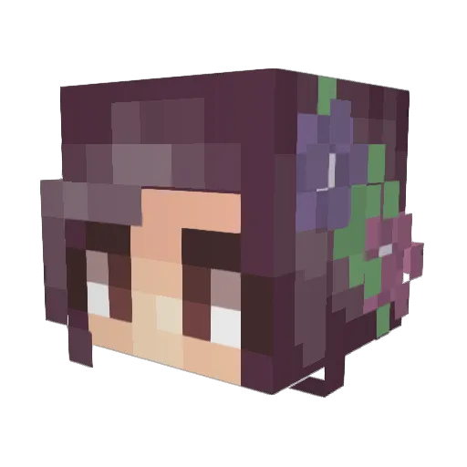 litvicky Minecraft avatar head, 3D render