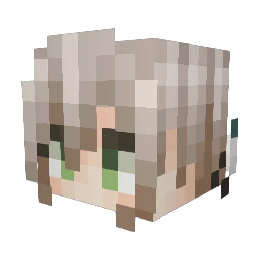 liu6jiu9 Minecraft avatar head, 3D render