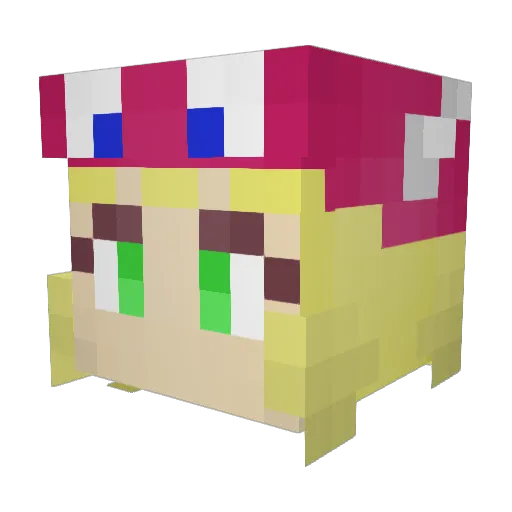 live_learn Minecraft avatar head, 3D render