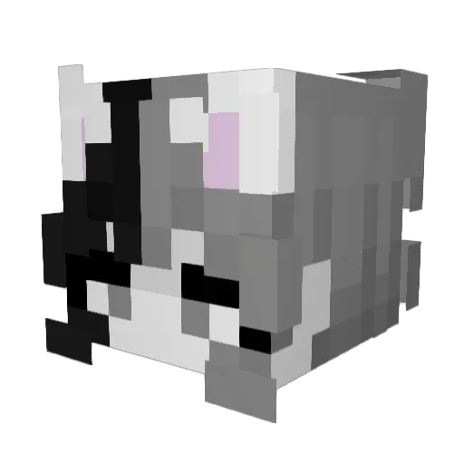 livfe24 Minecraft avatar head, 3D render
