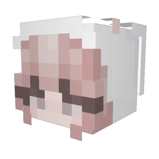 lividoodle_ Minecraft avatar head, 3D render