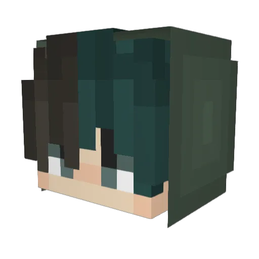 livingkoolkid Minecraft avatar head, 3D render