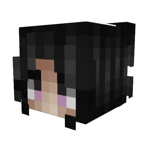 livouVLK Minecraft avatar head, 3D render