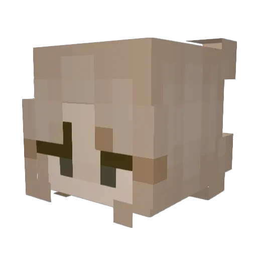 livsinlove Minecraft avatar head, 3D render