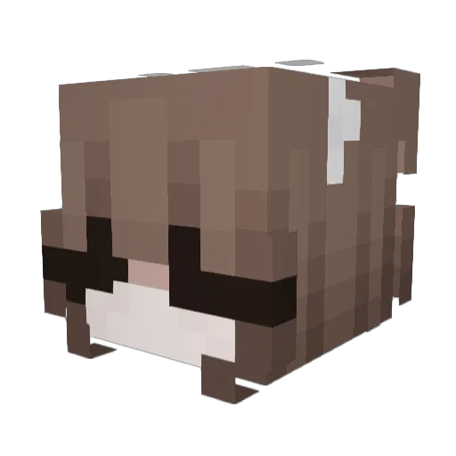 livucis Minecraft avatar head, 3D render