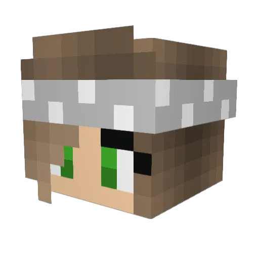 livylou2 Minecraft avatar head, 3D render