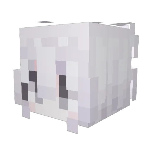 liwangzi Minecraft avatar head, 3D render