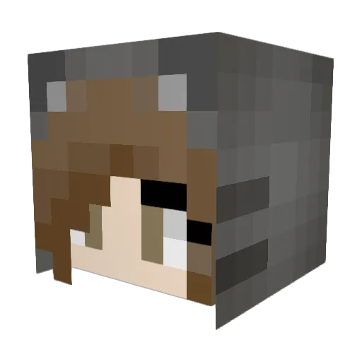 liwiliwi Minecraft avatar head, 3D render