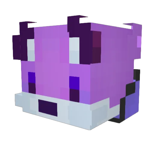 liwony Minecraft avatar head, 3D render