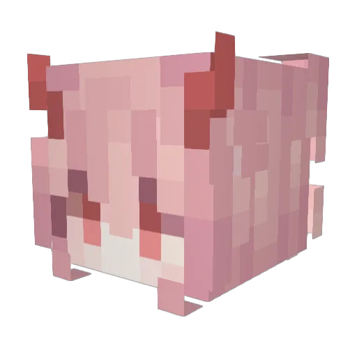 lixiaohua Minecraft avatar head, 3D render