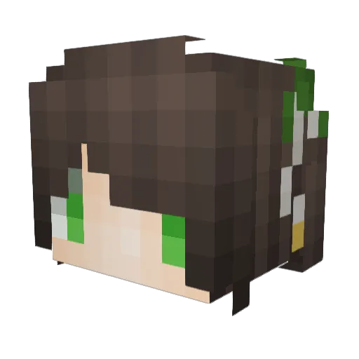 liyang231 Minecraft avatar head, 3D render