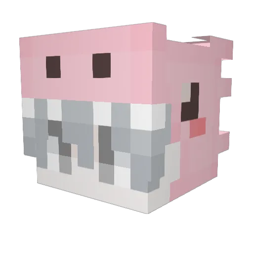 liyuuuu Minecraft avatar head, 3D render