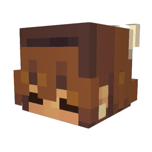 liz_beth Minecraft avatar head, 3D render