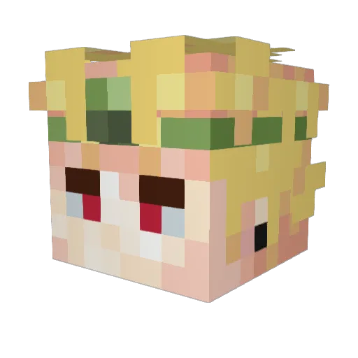 lizardlover789 Minecraft avatar head, 3D render