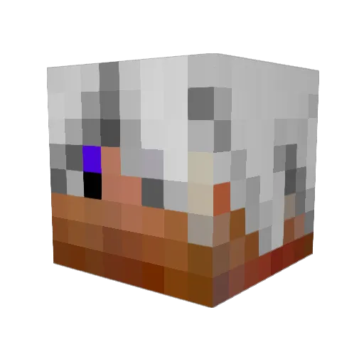lizards2002 Minecraft avatar head, 3D render