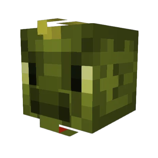 lizardverycool Minecraft avatar head, 3D render
