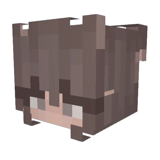 lizbennet Minecraft avatar head, 3D render