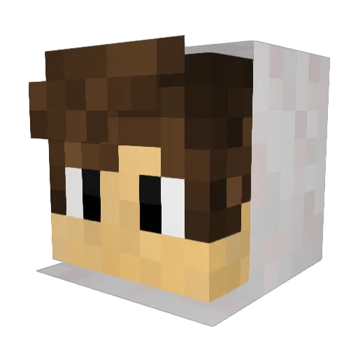 lizfred Minecraft avatar head, 3D render