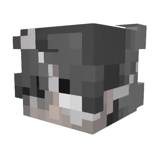lizinthehouse Minecraft avatar head, 3D render