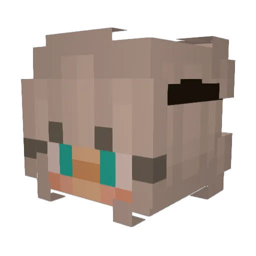 lizipel Minecraft avatar head, 3D render