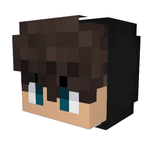 lizx1629 Minecraft avatar head, 3D render