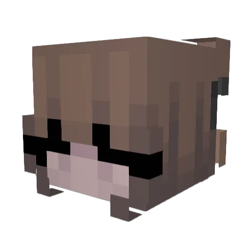 lizzi3_ Minecraft avatar head, 3D render
