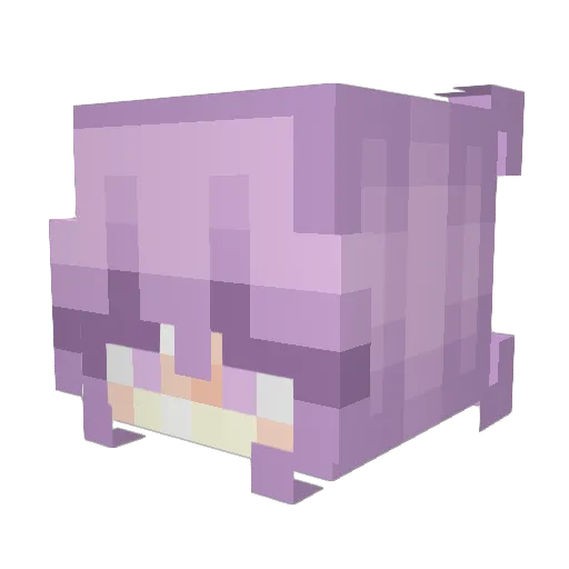 lizzie244 Minecraft avatar head, 3D render