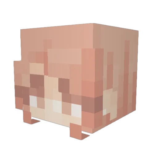 lizzielane Minecraft avatar head, 3D render