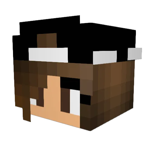 lizzyg11 Minecraft avatar head, 3D render
