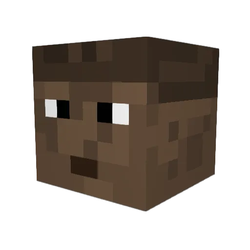 ljayne2 Minecraft avatar head, 3D render