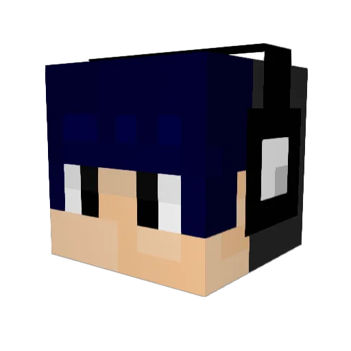 ljy401 Minecraft avatar head, 3D render
