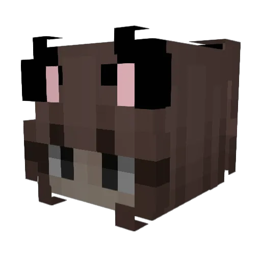 lkir Minecraft avatar head, 3D render