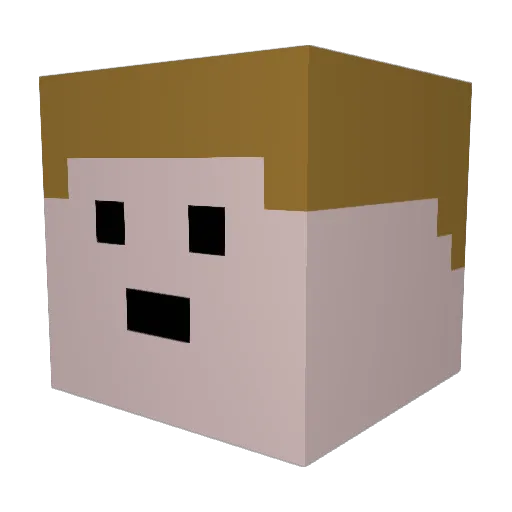 lkkjhgfdsajkjhh Minecraft avatar head, 3D render