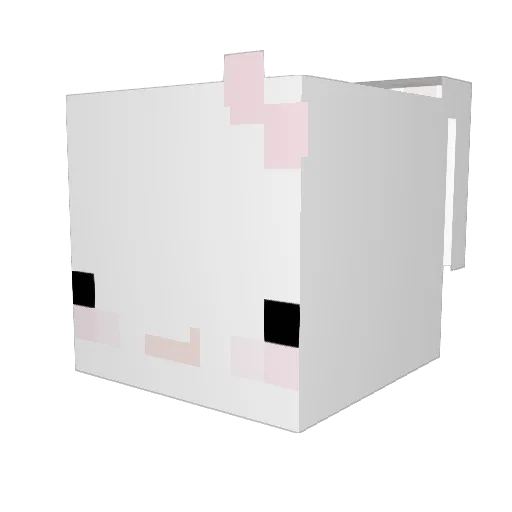 ll0v3oo Minecraft avatar head, 3D render