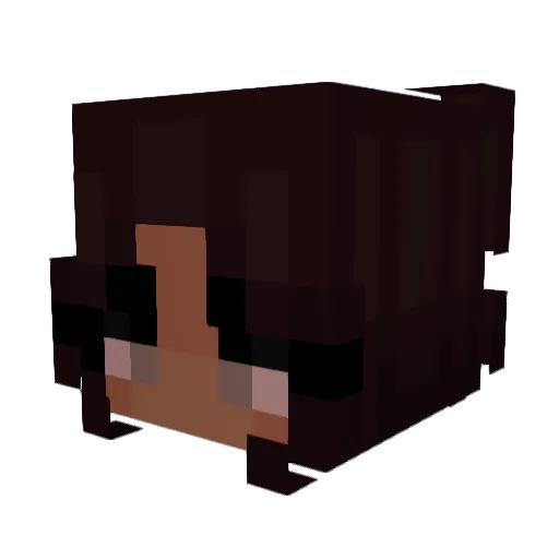 llCocoll Minecraft avatar head, 3D render