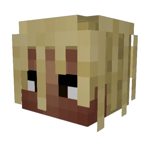 llDraynll Minecraft avatar head, 3D render