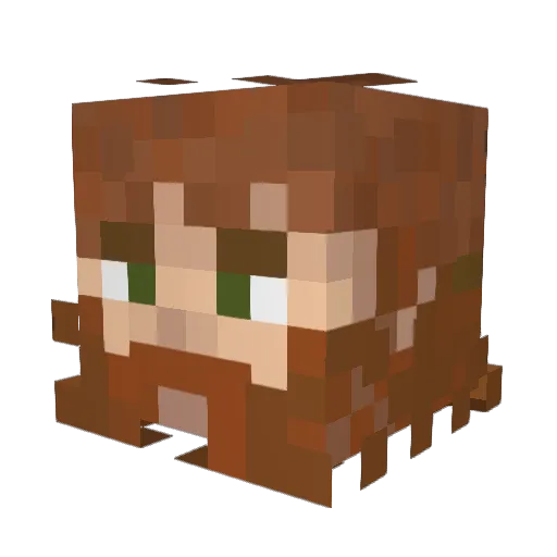 llNoxll Minecraft avatar head, 3D render