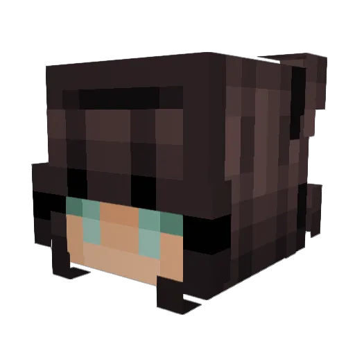 llSassyll Minecraft avatar head, 3D render