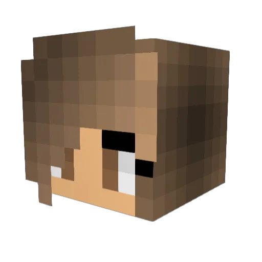 llTheOB1ll Minecraft avatar head, 3D render