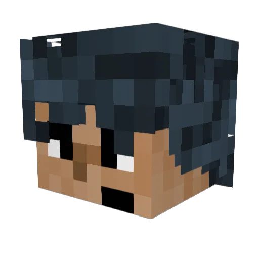 llTomasll Minecraft avatar head, 3D render