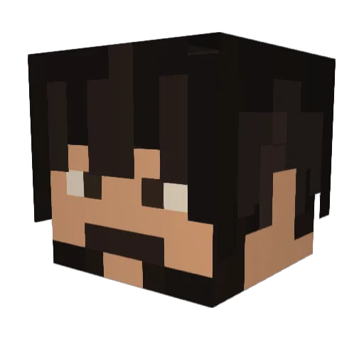 llToyamall Minecraft avatar head, 3D render