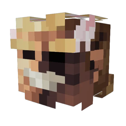 llZanzoonill Minecraft avatar head, 3D render