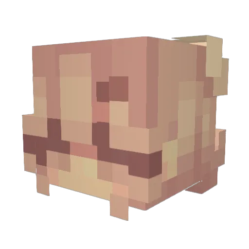 ll_Sarah_ll Minecraft avatar head, 3D render